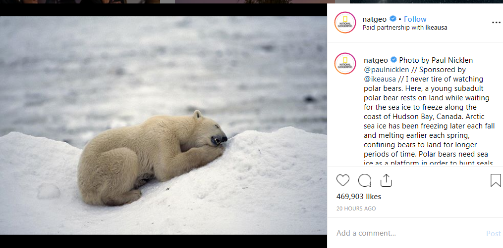national-geographic-insta-caption-example